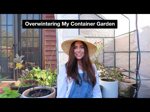 Overwintering Plants in Containers | Container Gardening