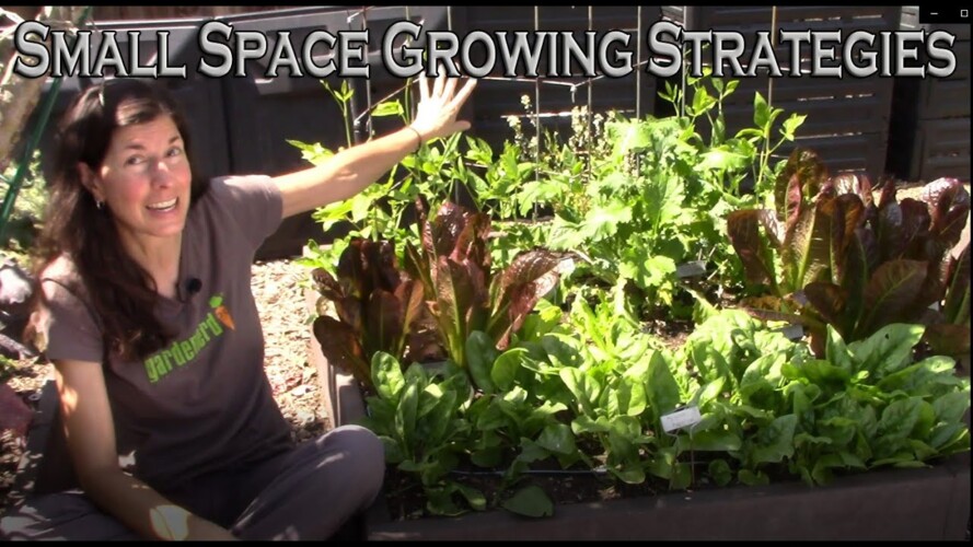 Small Space Gardening Strategies