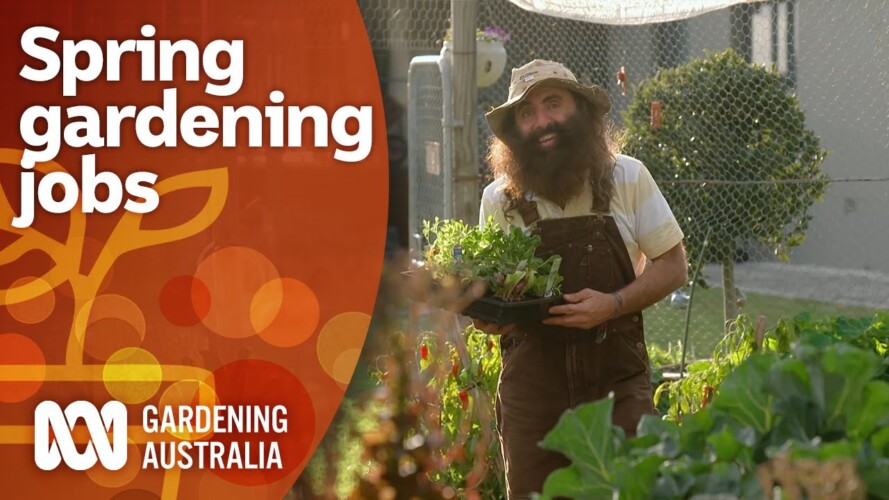 Essential spring gardening jobs to prepare for the next season | Gardening 101 | Gardening Australia