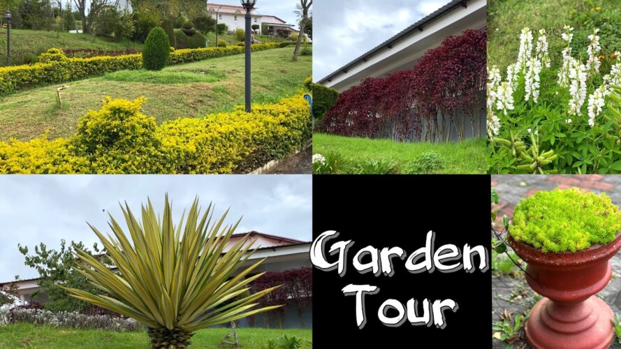 ഒരടിപൊളി Garden Tour കാണാം..Garden Tour | Gardening Ideas | Thaslis Wonderland