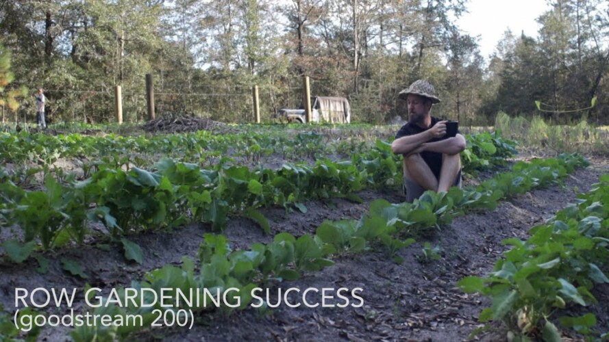 Row Gardening Success (Goodstream #200)