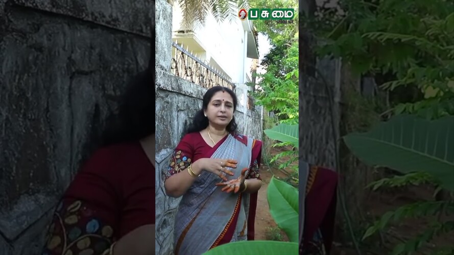 Actress Seetha's home gardening tips | நடிகை சீதா வீட்டுத்தோட்டம் | #shorts  #garden #homegarden