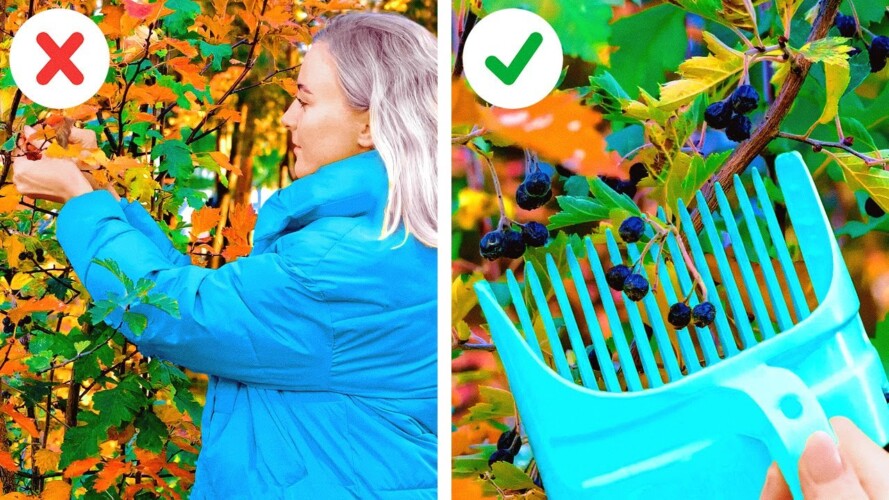 Gardening Hacks And Gadgets That Will Make You a Better Gardener