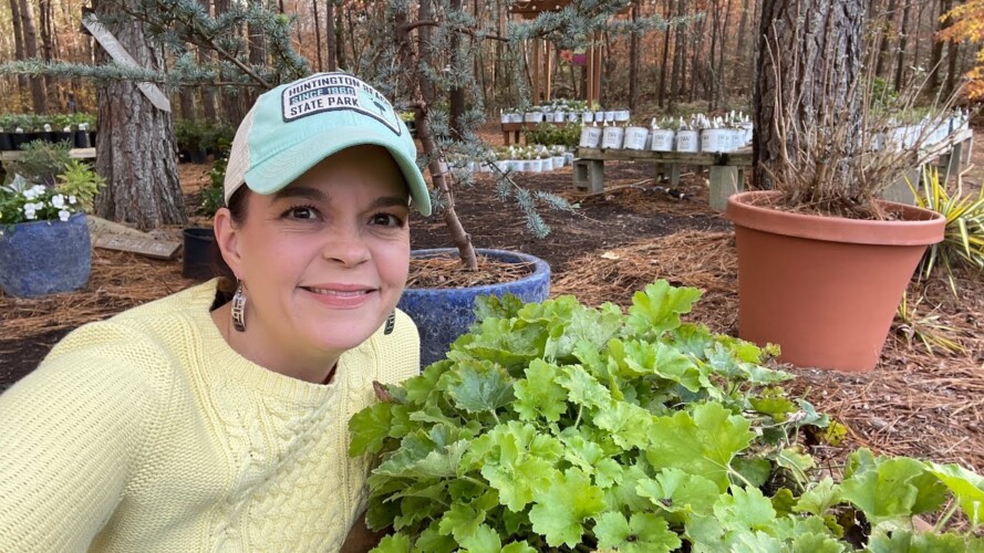A Secret to Growing Happy Heucheras | Gardening with Creekside