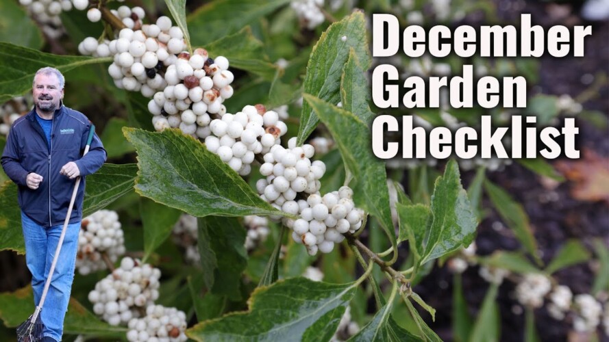 December Garden Checklist - Winter Gardening