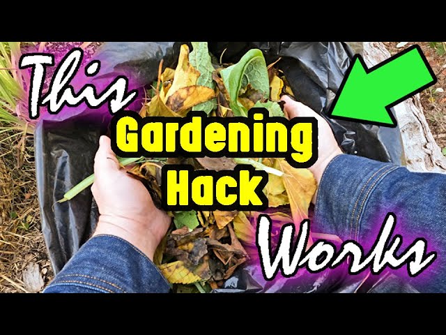 This GARDENING HACK Using Fallen TREE LEAVES Will Turn Your Garden Soil Into GROWERS GOLD!!!