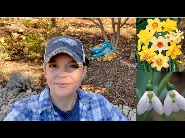 Planting a Few Spring Flowering Bulbs | Gardening with Creekside