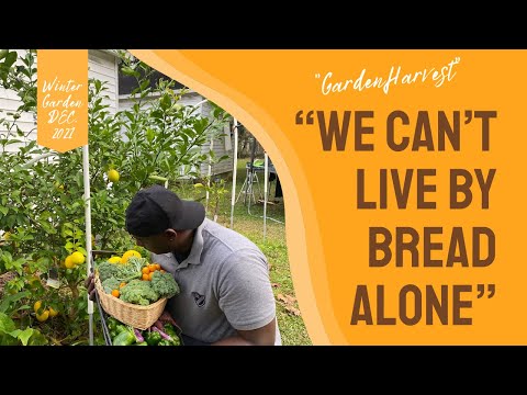 Saturday's Gardening Chores| Man Can't Live By Bread Alone🪴