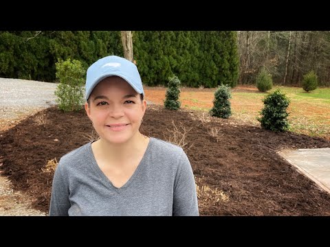 Flower Bed Transformation | Gardening with Creekside