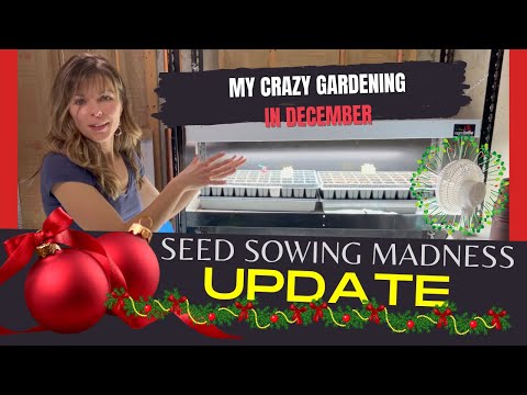 December Seed Sowing Madness // Grow Lights // My Indoor Growing Space // Gardening Over Winter