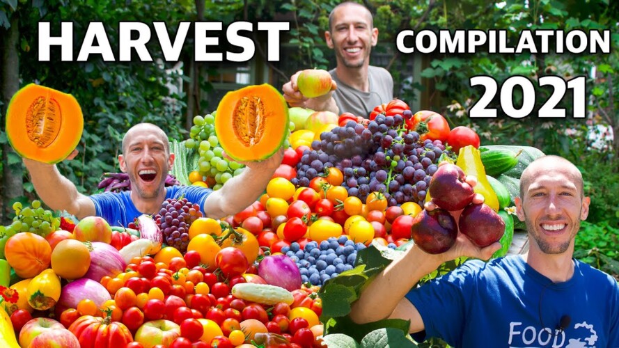 This is EVERYTHING I Harvested this Year, Complete 2021 Garden Harvest Compilation!