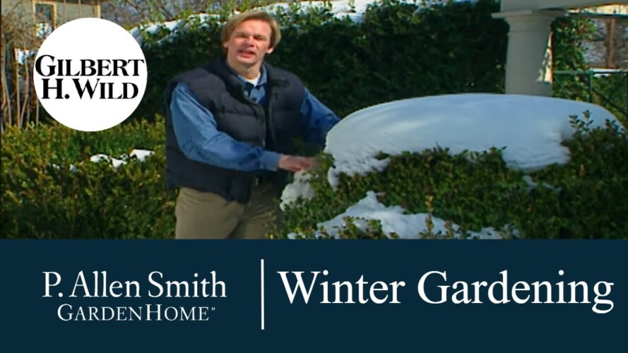 Tips for Winter Gardening | Garden Home (512)