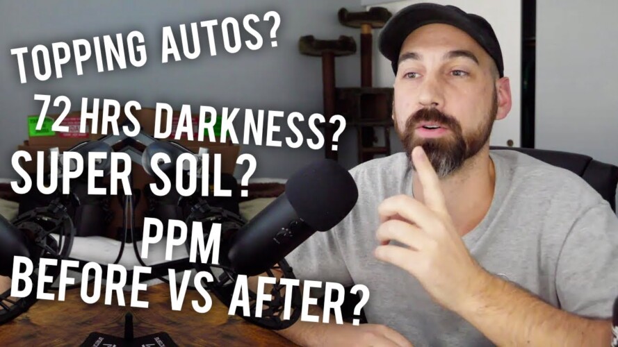 Gardening Questions... ANSWERED! (Q&A #08)