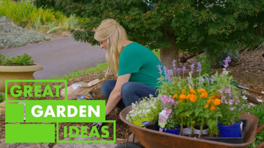 How to Grow Bulbs this Autumn | GARDENING | Great Home Ideas