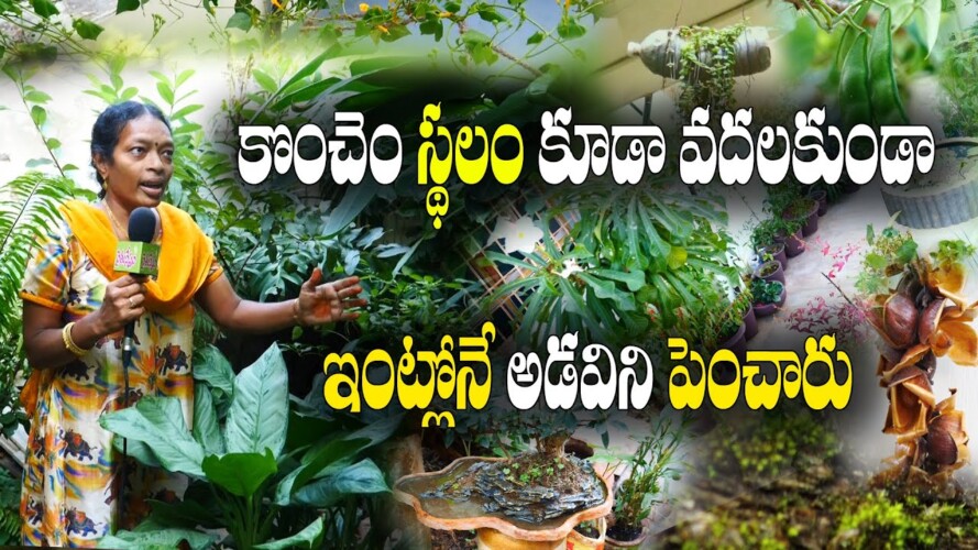 అంతరించిపోతున్న అరుదైన మొక్కలు, విభిన్న పూల ప్రపంచం | Gardening With Rare Plants | Jyotsna