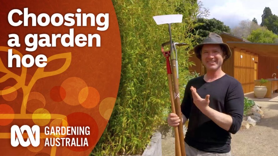 Choosing the correct style of garden hoe for each job | Gardening 101 | Gardening Australia