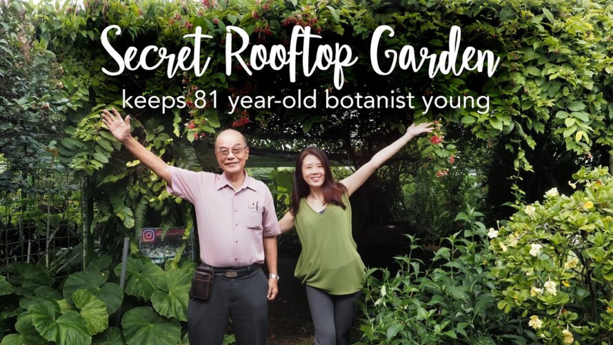 Secret Rooftop Garden (30,000 sqft) Tour + 18 Pro Gardening Tips with Botanist Dr Francis Ng