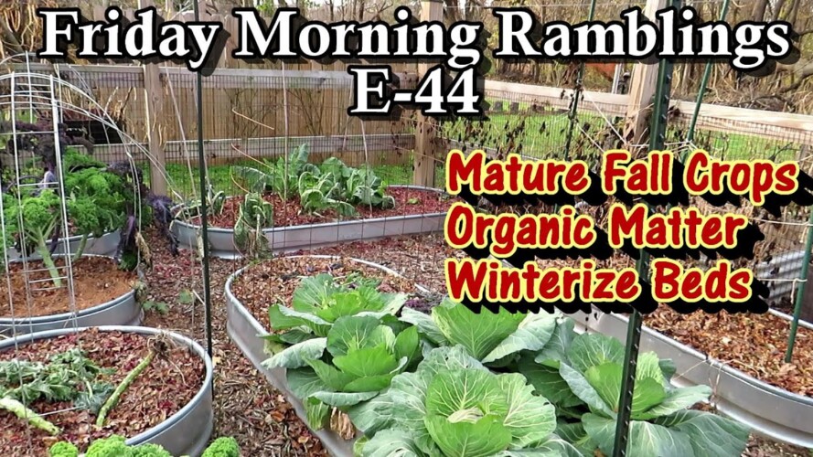 Mature Fall Crops, Organic Matter Matters, Winterizing Beds & Tour: FM Gardening Ramblings E-44