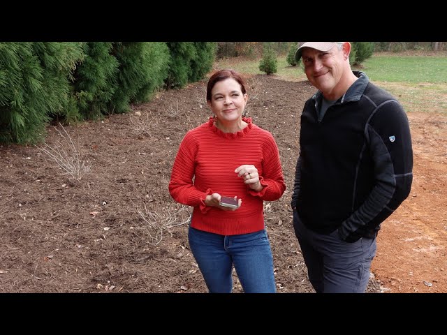 December Chat with Viewers' Q&A | Gardening with Creekside
