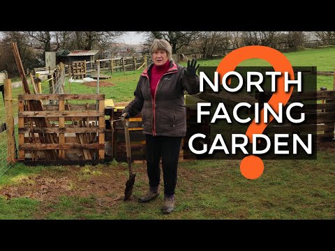 Gardening in Shade | North Facing Garden | Making a shady garden