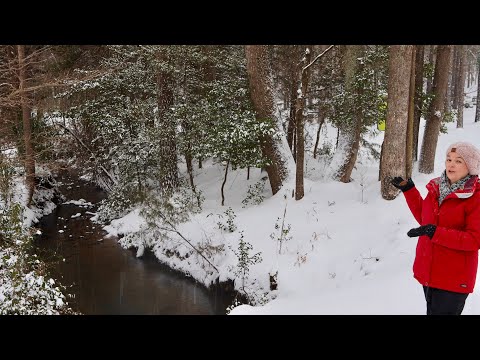 Beautiful & Fun Snow Day | Gardening with Creekside
