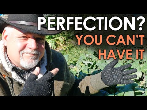 You Can't Have Gardening Perfection - Encouragement for the Frustrated  || Black Gumbo