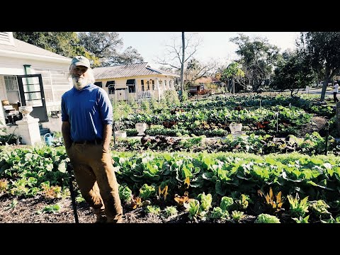 $7.5k a Month Gardening other people’s yards