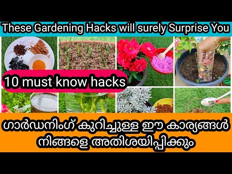 10 Useful Gardening Hacks | ചെടികൾ വളർത്തുന്ന നിങ്ങൾക്ക് ഈ 10 കാര്യങ്ങൾ അറിയാമോ - Part 1