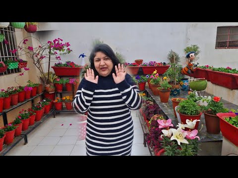 Rainy Day in My Winter Garden - SO COLD! || Garden Vlog + Updates || Fun Gardening