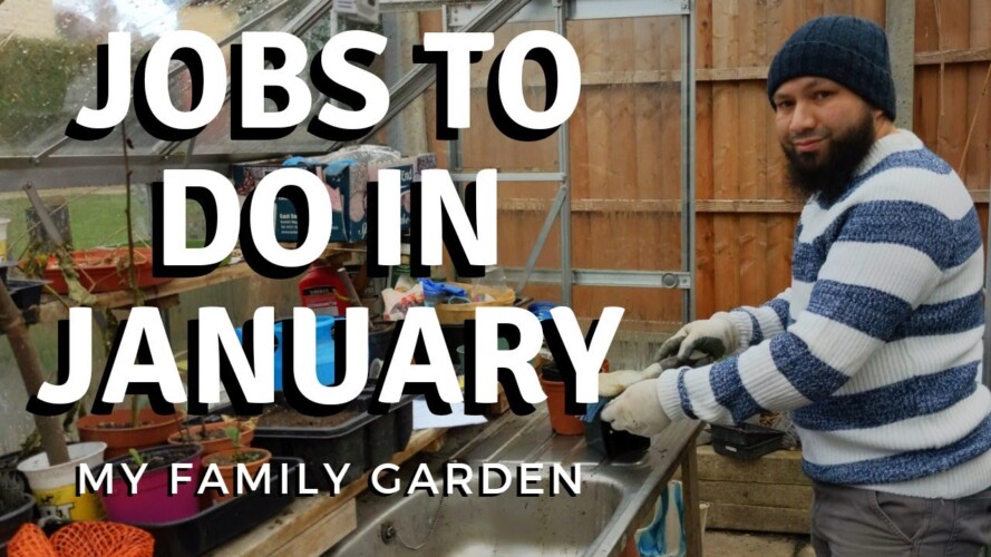To Start GARDENING JOBS FOR JANUARY - To People That Want To, But Are Afraid To Get Started