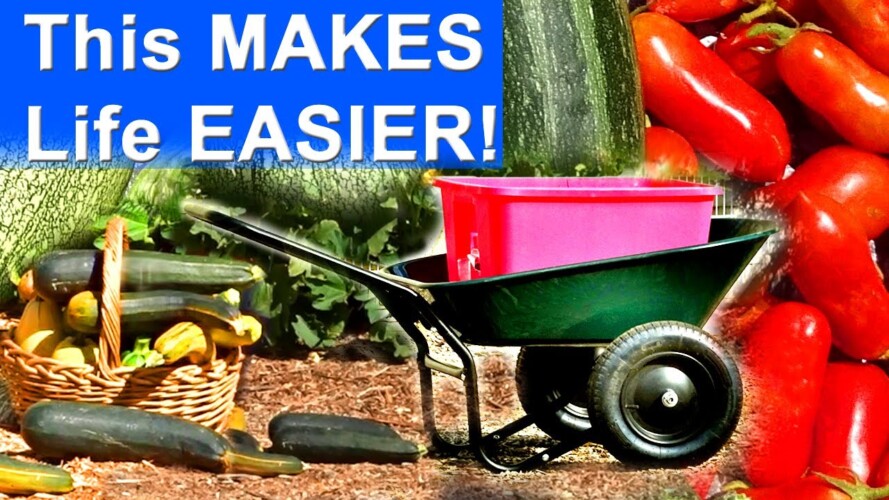 BEST Garden TOOLS Garden Cart Wheelbarrow Collect Leaves for Container Gardening to Compost in Place