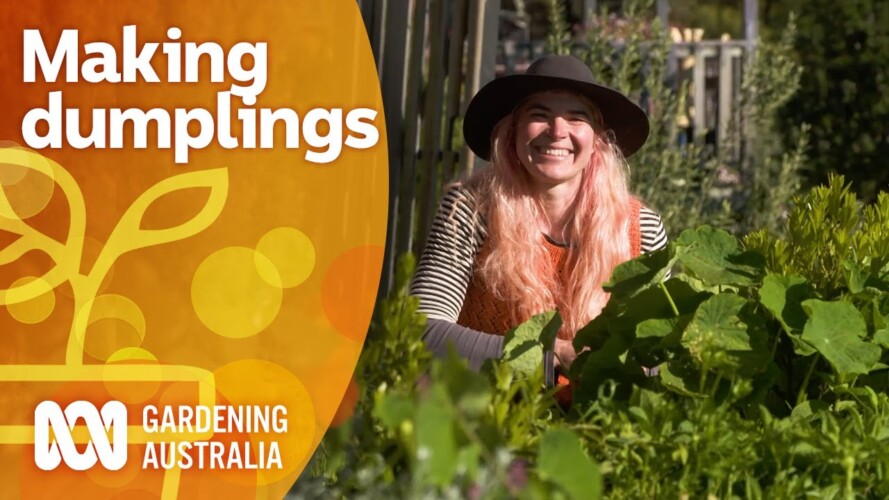 How to make nasturtium leaf dumplings | Cooking Your Garden Produce | Gardening Australia