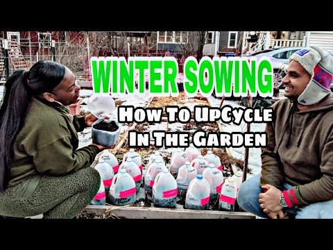 WINTER SOWING EASILY EXPLAINED! ZONE 5B NY GARDENING!