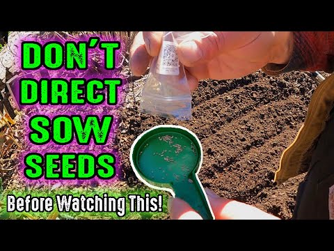 Don't Direct Sow Any Seeds In Your Garden Before Watching This! | Gardening With Plant Abundance