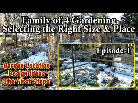 Family of 4 Vegetable Gardening E-1: Picking the 'Right' Spot & Size for Your First Family Garden