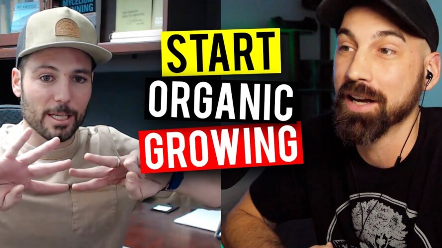 Organic Gardening For Beginners! Building Soil & Feedings (Garden Talk #51)