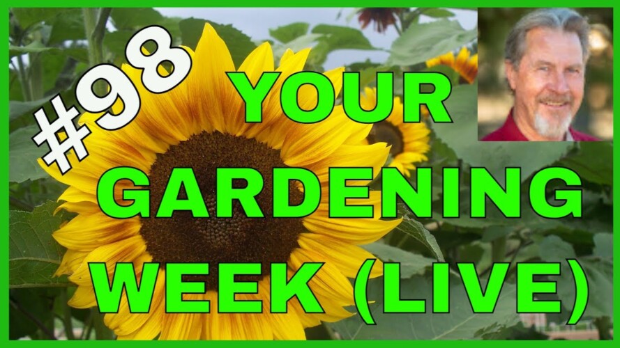 Gardening in Raised Beds (Q&A)