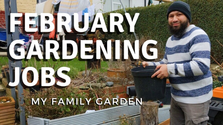 Incredibly Useful GARDENING JOBS FOR FEBRUARY - Tips For New Gardeners