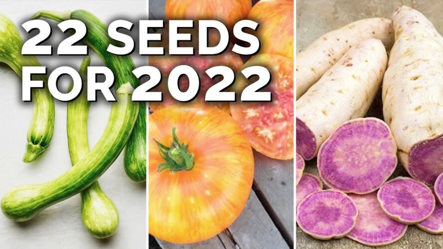 22 Seeds To Grow in 2022