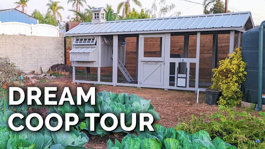 The Dream Chicken Coop | Full Tour with @Carolina Coops