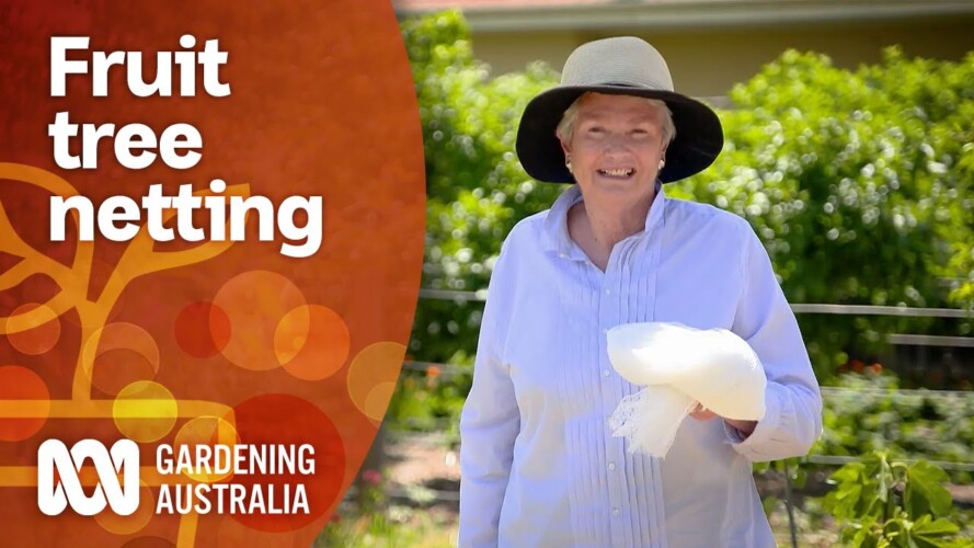 What to consider when using fruit tree and garden netting | Gardening 101 | Gardening Australia