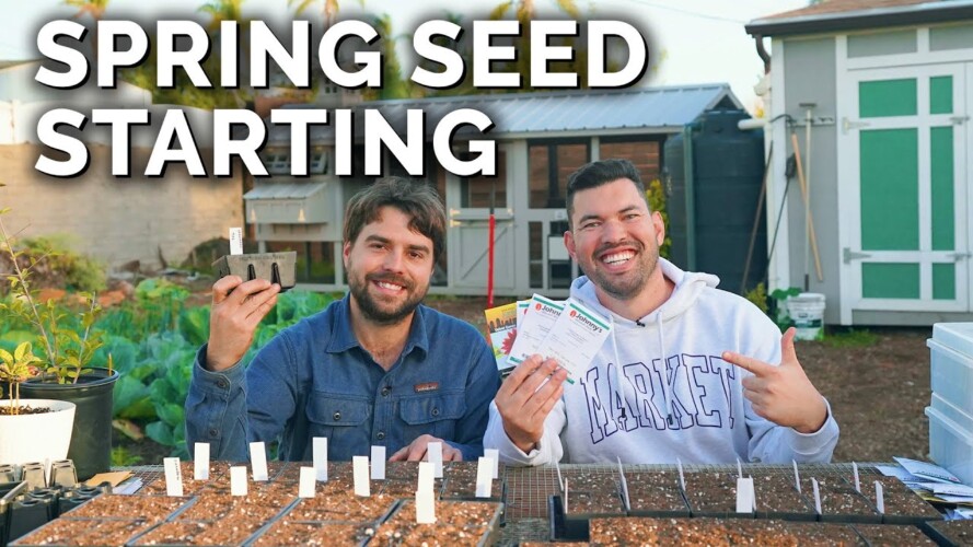 Start Seeds With Us: Seedling Mixes, Varieties, and Special Tips