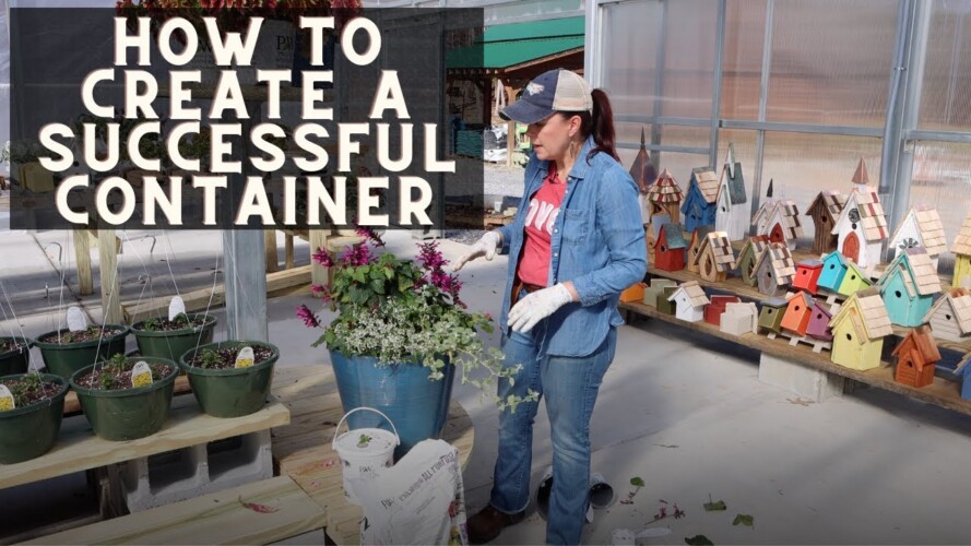 How To Create a Successful Container | Gardening with Creekside