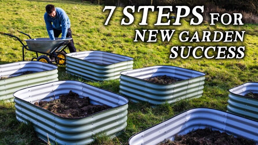 If I Were Starting a Vegetable Garden in 2022, This is What I'd Do (7 Steps)