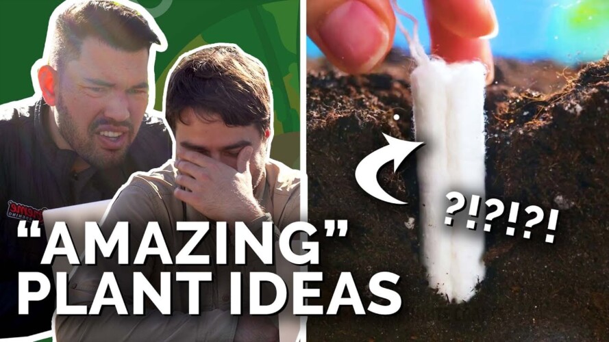 Gardeners React to "Amazing Plant Ideas"