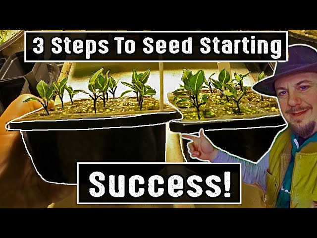 3 Steps To Seed Starting Success | Gardening With Plant Abundance