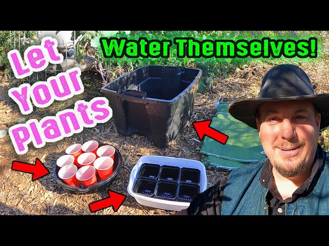 This Easy Water Wicking Gardening Hack Will Change The Way You Garden Forever!