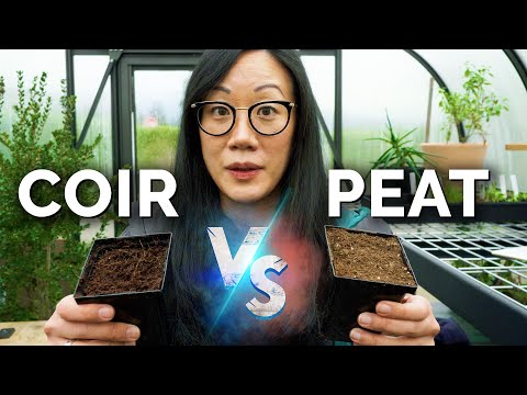 Peat Moss vs. Coconut Coir: Are They BOTH Bad?