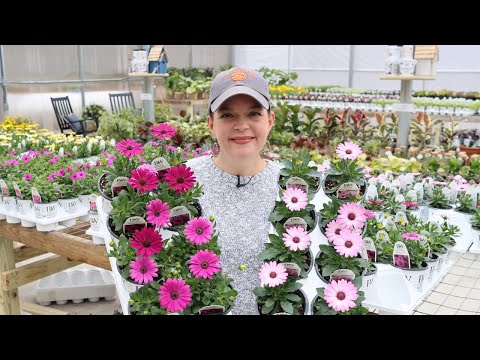 It's Go Time! | Gardening with Creekside Nursery
