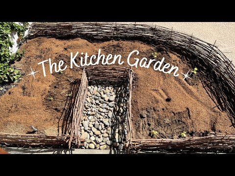 The Kitchen Garden Is In! 🥬🍅🥒 ::  Small Space Vegetable Gardening ::  Veggie Gardening Zone 9b